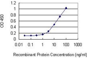 Detection limit for recombinant GST tagged UPP1 is 0. (UPP1 抗体  (AA 1-92))