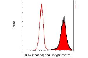 anti-Antigen Identified By Monoclonal Antibody Ki-67 (MKI67) (AA 1200-1250) antibody