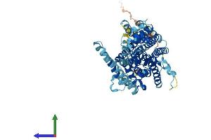 Protein Structure (PS) image for Solute Carrier Family 11 (Proton-Coupled Divalent Metal Ion Transporters), Member 1 (SLC11A1) (AA 1-548) protein (His tag) (ABIN7563233)