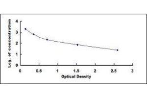 ELISA image for Copeptin (CPP) ELISA Kit (ABIN572440)
