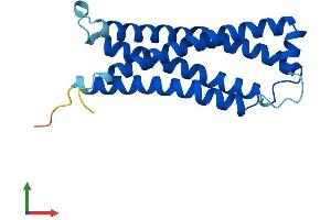 Protein Structure (PS) image for Transmembrane Protein 205 (TMEM205) (AA 1-189) protein (His tag) (ABIN7560089)