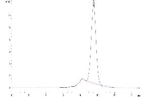 The purity of Human CD300A is greater than 95 % as determined by SEC-HPLC. (CD300a Protein (CD300A) (AA 18-180) (His tag))