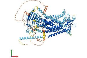 Protein Structure (PS) image for Anoctamin 3 (ANO3) (AA 1-981) protein (His tag) (ABIN7552093)
