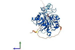 Protein Structure (PS) image for N-Acyl Phosphatidylethanolamine phospholipase D (NAPEPLD) (AA 1-393) protein (His tag) (ABIN7549625)