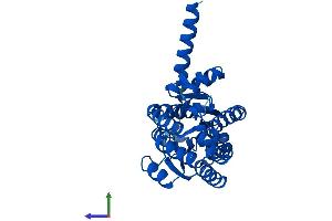 AlphaFold protein structure predicition of Human Recombinant RDH16 Protein, UniprotID O75452