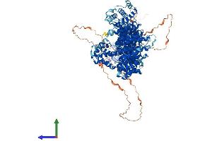 Protein Structure (PS) image for PDS5, Regulator of Cohesion Maintenance, Homolog A (PDS5A) (AA 1-1332) protein (His tag) (ABIN7564032)