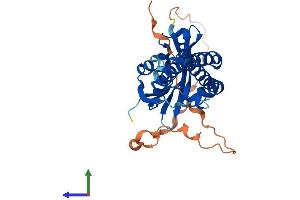 Protein Structure (PS) image for N-Acetyltransferase 8-Like (GCN5-Related, Putative) (NAT8L) (AA 1-302) protein (His tag) (ABIN7549687)