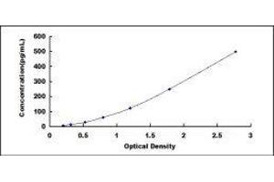 Fibroblast Growth Factor 18 (FGF18) ELISA Kit