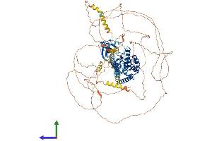 Protein Structure (PS) image for Mitogen-Activated Protein Kinase Kinase Kinase 13 (MAP3K13) (AA 1-959) protein (His tag) (ABIN7563644)
