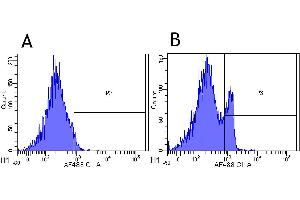 Flow-cytometry using anti-CD4 antibody MT310   Rhesus monkey lymphocytes were stained with an isotype control (panel A) or the rabbit-chimeric version of MT310 ( panel B) at a concentration of 1 µg/ml for 30 mins at RT.