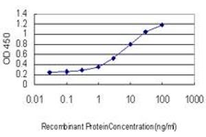 Detection limit for recombinant GST tagged SSBP1 is approximately 0. (SSBP1 抗体  (AA 1-148))