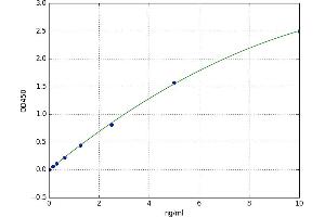 A typical standard curve