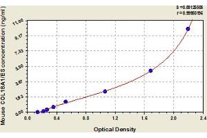 ELISA image for Collagen, Type XVIII, alpha 1 (COL18A1) ELISA Kit (ABIN6973372)