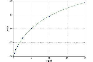 A typical standard curve (UBE2A ELISA 试剂盒)