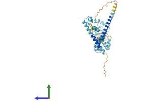 AlphaFold protein structure predicition of Human Recombinant DFFA Protein, UniprotID O00273