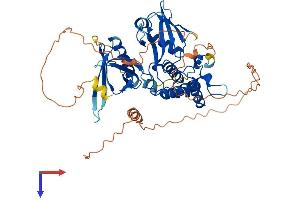 AlphaFold protein structure predicition of Mouse Recombinant Epb41l4b Protein, UniprotID Q9JMC8