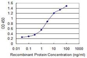Detection limit for recombinant GST tagged MSR1 is 0. (Macrophage Scavenger Receptor 1 抗体  (AA 121-220))