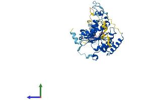 AlphaFold protein structure predicition of Human Recombinant UBA5 Protein, UniprotID Q9GZZ9