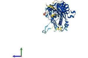 Protein Structure (PS) image for CCR4-NOT Transcription Complex, Subunit 6 (CNOT6) (AA 1-557) protein (His tag) (ABIN7553514)
