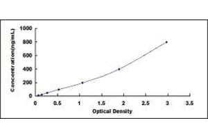 Typical standard curve (CSH1 ELISA 试剂盒)