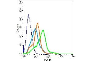 Flow Cytometry (FACS) image for anti-Protein Tyrosine Phosphatase, Receptor Type, N (PTPRN) (AA 501-600) antibody (ABIN1387289)