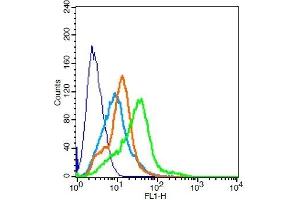 RSC96 probed with TPIA2/PTPRN Polyclonal Antibody, Unconjugated ( 	 ) at 3ug for 30 minutes followed by incubation with a conjugated secondary -FITC) (green) for 30 minutes compared to control cells (blue), secondary only (light blue) and isotype control (orange). (PTPRN 抗体  (AA 501-600))
