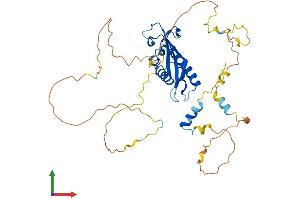 AlphaFold protein structure predicition of Human Recombinant HS1BP3 Protein, UniprotID Q53T59