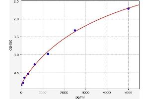 Typical standard curve (Klk1b22 ELISA 试剂盒)