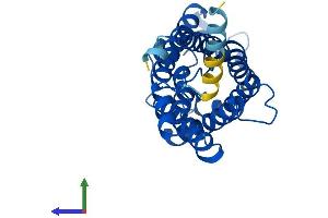Protein Structure (PS) image for Aquaporin 5 (AQP5) (AA 1-265) protein (His tag) (ABIN7556256)