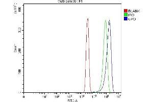 Flow Cytometry analysis of SiHa cells using anti-CPO antibody (ABIN7601383).