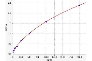 Cardiotrophin-Like Cytokine Factor 1 (CLCF1) ELISA Kit