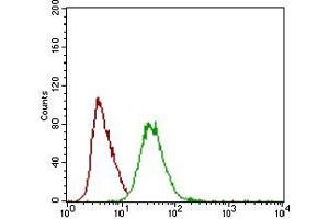 Flow cytometric analysis of HEK293 cells using DCN mouse mAb (green) and negative control (red). (Decorin 抗体  (AA 263-324))