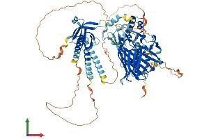 Protein Structure (PS) image for Oxysterol Binding Protein-Like 11 (OSBPL11) (AA 1-747) protein (His tag) (ABIN7554837)