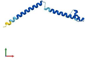 Protein Structure (PS) image for SWI5 Recombination Repair Homolog (SWI5) (AA 1-89) protein (His tag) (ABIN7559547)