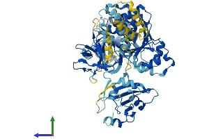 Protein Structure (PS) image for Solute Carrier Family 27 (Fatty Acid Transporter), Member 5 (SLC27A5) (AA 1-689) protein (His tag) (ABIN7563780)