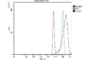 Flow Cytometry analysis of A549 cells using anti-VPS41 antibody (ABIN7601748).
