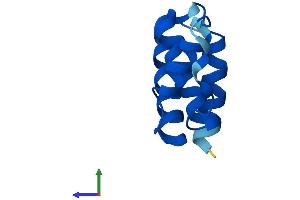 Protein Structure (PS) image for Acyl-CoA Binding Domain Containing 7 (ACBD7) (AA 1-88) protein (Fc Tag) (ABIN7551825)