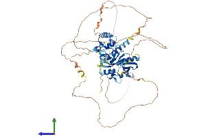 Protein Structure (PS) image for Interferon Regulatory Factor 2 Binding Protein 1 (IRF2BP1) (AA 1-584) protein (His tag) (ABIN7548420)