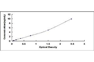 Typical standard curve (SULT1A1 ELISA 试剂盒)