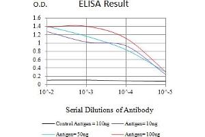 Black line: Control Antigen (100 ng),Purple line: Antigen (10 ng), Blue line: Antigen (50 ng), Red line:Antigen (100 ng) (KDM2A 抗体  (AA 1-150))