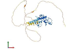 Protein Structure (PS) image for Muscleblind-Like Splicing Regulator 3 (MBNL3) (AA 1-354) protein (His tag) (ABIN7549201)