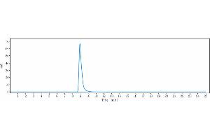 anti-Amyloid beta (Abeta) antibody