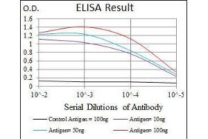 Black line: Control Antigen (100 ng), Purple line: Antigen(10 ng), Blue line: Antigen (50 ng), Red line: Antigen (100 ng), (NEFH 抗体  (AA 968-1020))