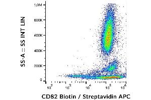 Flow cytometry analysis (surface staining) of CD82 on human peripheral blood cells with anti-CD82 (C33) biotin, streptavidin/PE. (CD82 抗体  (Biotin))