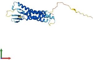 Protein Structure (PS) image for Claudin 7 (CLDN7) (AA 1-211) protein (His tag) (ABIN7546632)