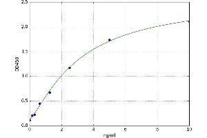 A typical standard curve (SULT1E1 ELISA 试剂盒)