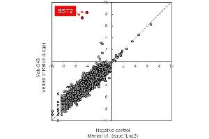 The target of Mab-C48 was identified by a large-scale human protein array including 5,300 proteins analyzed by Fukushima Translational Research Foundation, Japan. (BST2 抗体)