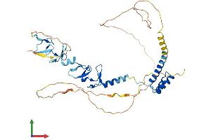 Protein Structure (PS) image for LIM Homeobox 3 (LHX3) (AA 1-400) protein (His tag) (ABIN7563363)