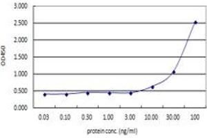 Sandwich ELISA detection sensitivity ranging from 10 ng/ml to 100 ng/ml. (ACTN4 (人) Matched Antibody Pair)