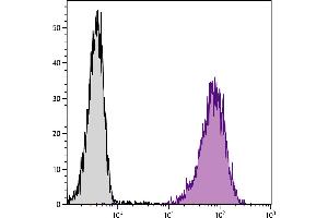 Mouse pre-B cell line 18-81 was stained with Rat Anti-Mouse BP-1-PE. (eIF4EBP1 抗体  (Biotin))